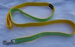 5 Foot Dog Leash By Chag Ny Designs - Gold With Green Trim 1 New. Price: $12.99.