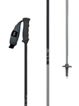 Fischer One Way Gt 14 Alpine Ski Poles, Grey/dark Grey, 125CM MY26. Price: $66.89.