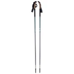 One Way Bc Carbon Nordic Ski Poles / Green 150CM Used. Price: $62.50.
