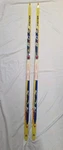 Fischer Rcs Plus Nordic Skate Skis- I85CM W/ Solomon Sns Bindings- Vg & Waxed! Used. Price: $99.90.