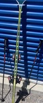 Rossignol Torsion Box 168CM All-mountain Skis W/ Bindings + Scott Poles Used. Price: $80.00.