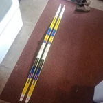 Fischer Rcs Plus Skating Ski's 185 Cm , Salomon Sns Profil Bindings Used. Price: $60.00.